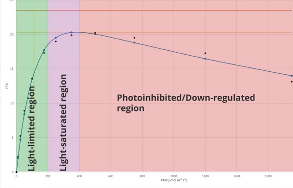 使用Handy PEA+测定快速光曲线(RLCs)LD乐动体育(图3) 使用Handy PEA+测定快速光曲线(RLCs)LD乐动体育(图3)