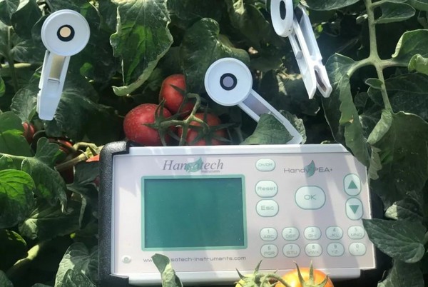 使用Handy PEA+测定快速光曲线(RLCs)LD乐动体育(图4) 使用Handy PEA+测定快速光曲线(RLCs)LD乐动体育(图4)