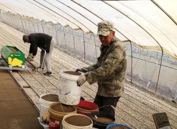 【疫情防控+备春耕】桦皮厂镇：防疫乐动体育春耕两不误 田间备