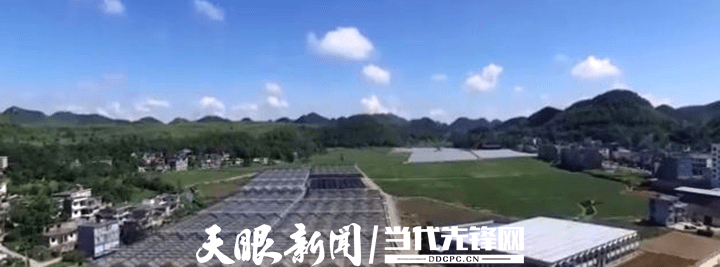 安龙：建设现代化LD乐动 乐动体育蔬菜基地 促进群众增收致富