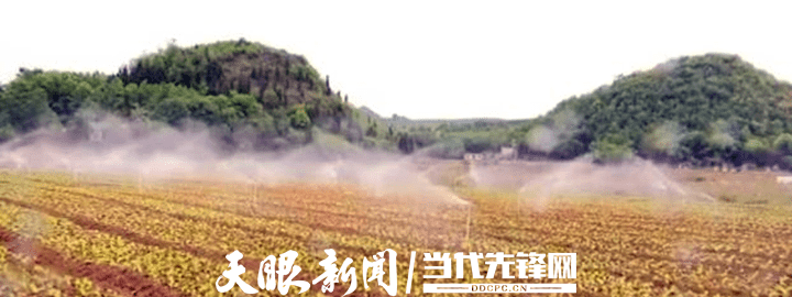 安龙:建设现代化LD乐动 乐动体育蔬菜基地 促进群众增收致富(图3) 安龙:建设现代化LD乐动 乐动体育蔬菜基地 促进群众增收致富(图3)