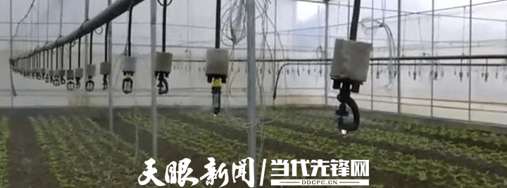 安龙:建设现代化LD乐动 乐动体育蔬菜基地 促进群众增收致富(图2) 安龙:建设现代化LD乐动 乐动体育蔬菜基地 促进群众增收致富(图2)