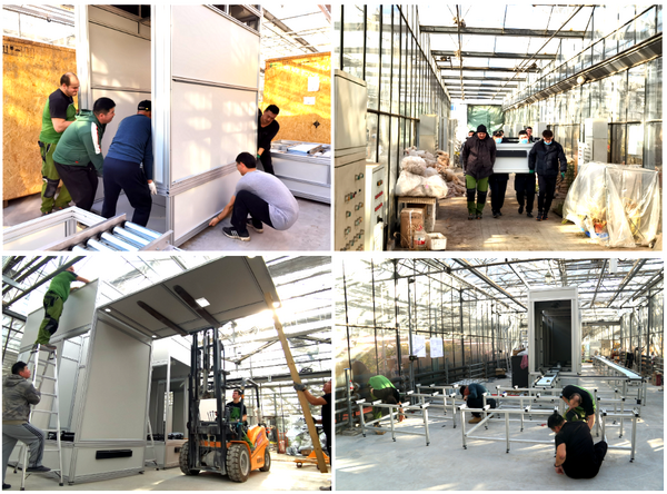 PlantScreen高通量植物表型系统火热安装中系列报道乐