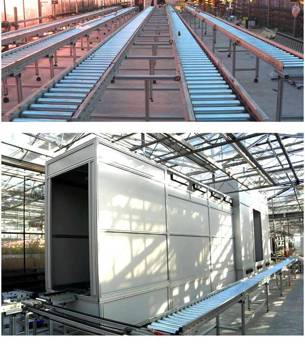 PlantScreen高通量植物表型系统火热安装中系列报道乐动体育（一）(图2)