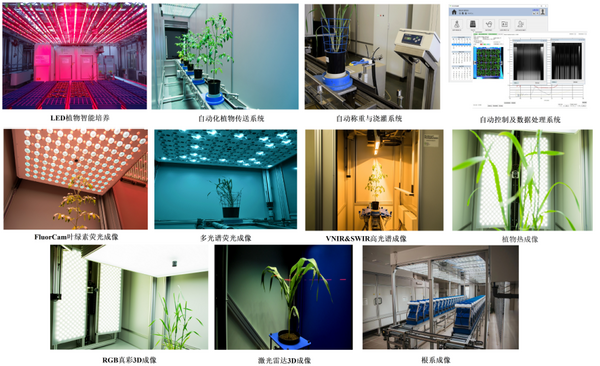 PlantScreen高通量植物表型系统火热安装中系列报道乐动体育（一）(图3)