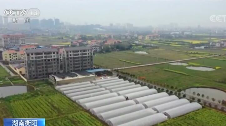 LD乐动体育湖南：春耕生产紧 集中育秧忙