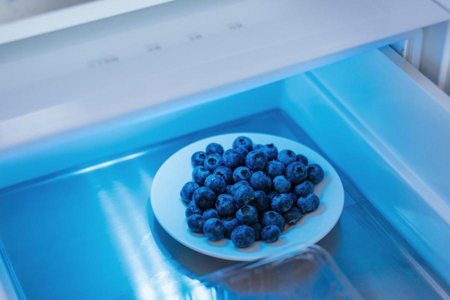 LD乐动体育春节家电行业迎来消费热大容量冰箱受热捧(图5) LD乐动体育春节家电行业迎来消费热大容量冰箱受热捧(图5)