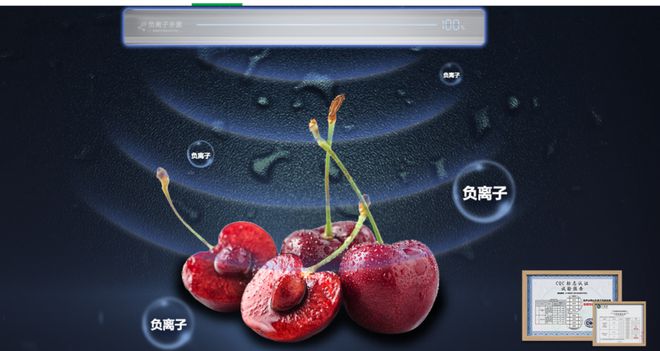 乐动体育 LD体育为什么越贵的冰箱越不值得买？（上）(图8)