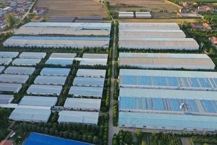 宁夏彭阳：供电“血管”强健产业“肌体”乐动体育