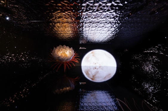 又一新品系列在静安首发！乐动体育(图4)