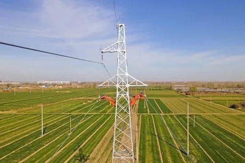 两会聚焦｜为全面推进乡村振兴注入强劲动能乐动体育