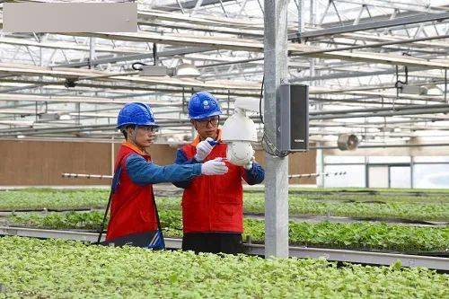 两会聚焦｜为全面推进乡村振兴注入强劲动能乐动体育(图3)