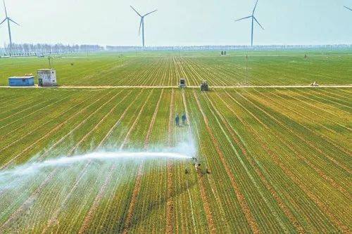 两会聚焦｜为全面推进乡村振兴注入强劲动能乐动体育(图2)