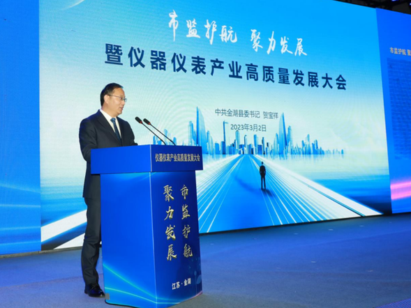 市乐动体育 LD体育监护航聚力发展！江苏金湖打响仪器仪表产业