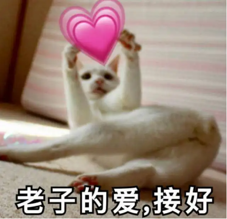 LD乐动体育授之于渔：从容声501、美的495、海尔468拆机看冰箱优劣(图3)