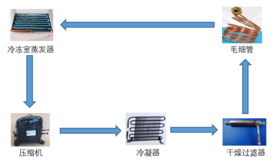 LD乐动体育授之于渔：从容声501、美的495、海尔468拆机看冰箱优劣(图26)