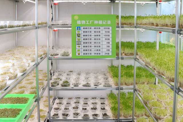 LD乐动 乐动体育四川郫都:科技赋能“菜篮子” !智慧农场玩出新花样(图2) LD乐动 乐动体育四川郫都:科技赋能“菜篮子” !智慧农场玩出新花样(图2)