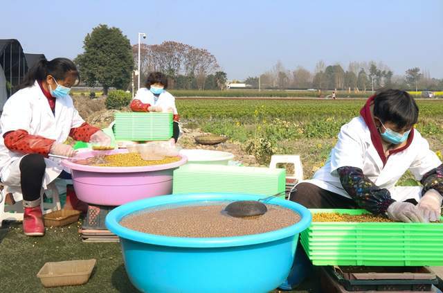 LD乐动 乐动体育四川郫都:科技赋能“菜篮子” !智慧农场玩出新花样(图1) LD乐动 乐动体育四川郫都:科技赋能“菜篮子” !智慧农场玩出新花样(图1)