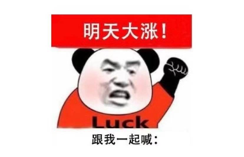 LD乐动体育后市是要加仓还是割肉？