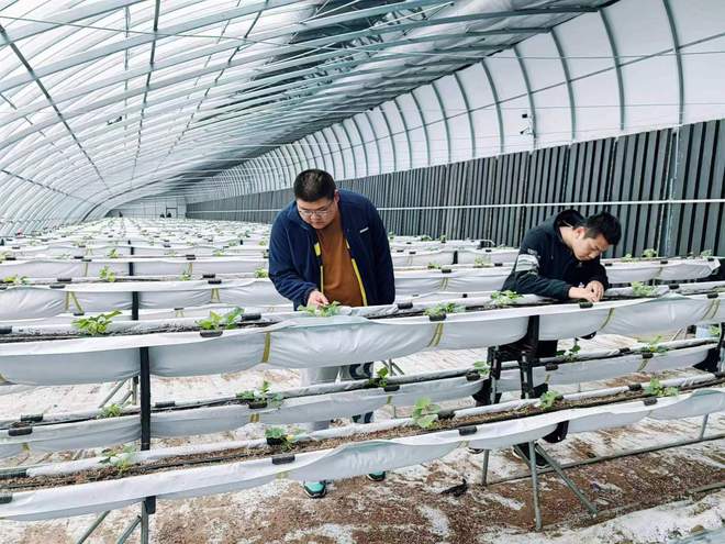 【春日里的中国】黑土地上插了“科技LD乐动体育翅膀”(图2) 【春日里的中国】黑土地上插了“科技LD乐动体育翅膀”(图2)