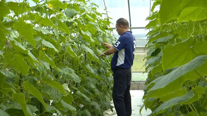 市老科协LD乐动体育：无私奉献夕阳美发挥余热奏凯歌