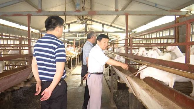 市老科协LD乐动体育:无私奉献夕阳美发挥余热奏凯歌(图7) 市老科协LD乐动体育:无私奉献夕阳美发挥余热奏凯歌(图7)