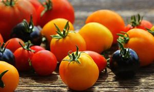 LD乐动体育仪器仪表行业调研及进出口分析2023(图5) LD乐动体育仪器仪表行业调研及进出口分析2023(图5)