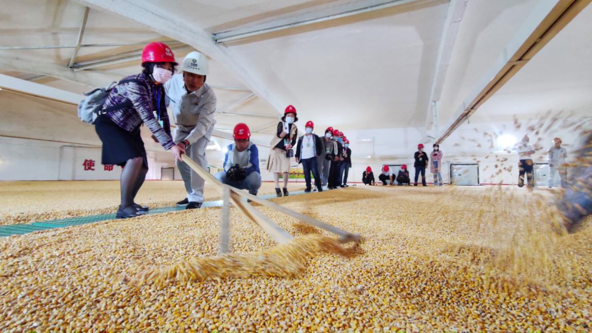 辽宁丹东:“中储粮”公众开放日活动带你探秘“大国粮仓”LD乐动体育(图3) 辽宁丹东:“中储粮”公众开放日活动带你探秘“大国粮仓”LD乐动体育(图3)