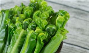 《即食自然发酵火腿》团体标准通过审查 火腿行业LD乐动体育市场前瞻(图4) 《即食自然发酵火腿》团体标准通过审查 火腿行业LD乐动体育市场前瞻(图4)