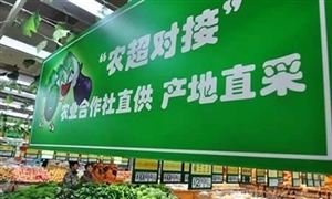 《即食自然发酵火腿》团体标准通过审查 火腿行业LD乐动体育市场前瞻(图6) 《即食自然发酵火腿》团体标准通过审查 火腿行业LD乐动体育市场前瞻(图6)