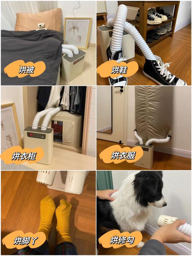 LD乐动体育推广 小几百解决大烦恼这两个月花得最值的一笔钱就是它!(图5) LD乐动体育推广 小几百解决大烦恼这两个月花得最值的一笔钱就是它!(图5)