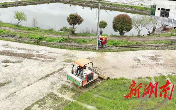 国网衡阳供乐动体育电公司:优质电能助农“慧”耕种(图1) 国网衡阳供乐动体育电公司:优质电能助农“慧”耕种(图1)