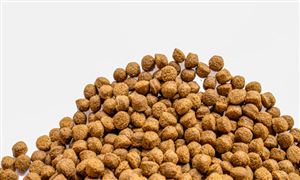 中国仪器仪表行业市场现状 中LD乐动 乐动体育国仪器仪表行业发展趋势分析(图2)