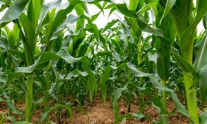 中国仪器仪表行业市场现状 中LD乐动 乐动体育国仪器仪表行业发展趋势分析(图7)