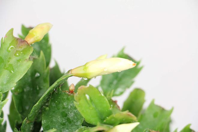 深圳好点的儿童眼科?排行榜:英华儿童眼科榜上有名LD乐动 乐动体育(图7) 深圳好点的儿童眼科?排行榜:英华儿童眼科榜上有名LD乐动 乐动体育(图7)