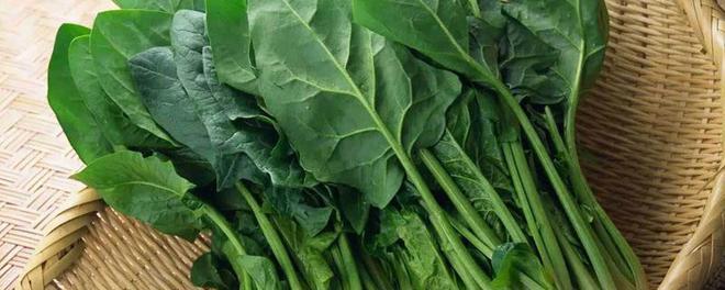 深圳好点的儿童眼科?排行榜:英华儿童眼科榜上有名LD乐动 乐动体育(图8) 深圳好点的儿童眼科?排行榜:英华儿童眼科榜上有名LD乐动 乐动体育(图8)