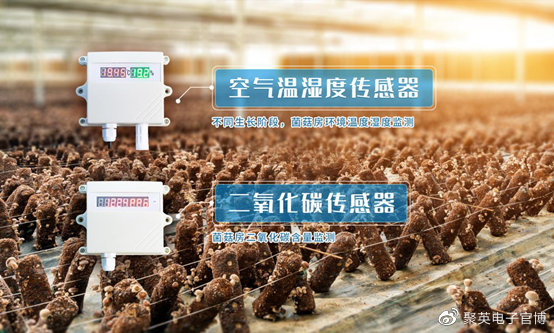 LD乐动 乐动体育【智慧农业】聚英蘑菇种植环境监测系统在线控温轻松管理菌棚(图7) LD乐动 乐动体育【智慧农业】聚英蘑菇种植环境监测系统在线控温轻松管理菌棚(图7)