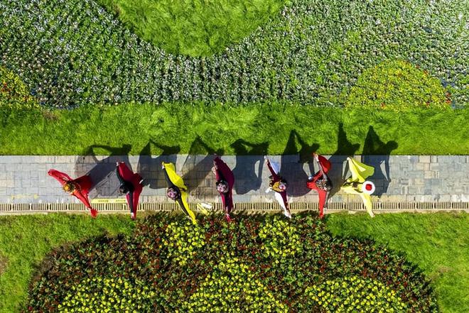 乐动体育《大地》武汉乡村振兴周刊第073期(图5) 乐动体育《大地》武汉乡村振兴周刊第073期(图5)