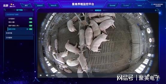 LD乐动体育畜禽养殖物联网系统解决方案在线监测(图5) LD乐动体育畜禽养殖物联网系统解决方案在线监测(图5)