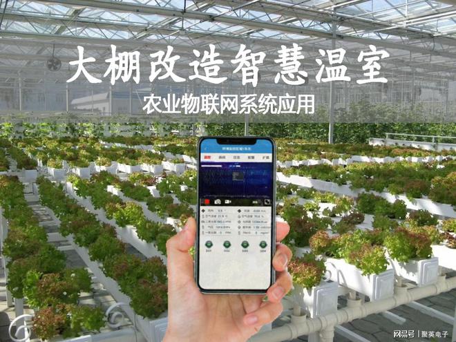 LD乐动 乐动体育温室大棚改造方案传统大棚升级聚英农业物联网