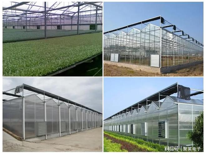 LD乐动 乐动体育温室大棚改造方案传统大棚升级聚英农业物联网系统应用(图3) LD乐动 乐动体育温室大棚改造方案传统大棚升级聚英农业物联网系统应用(图3)