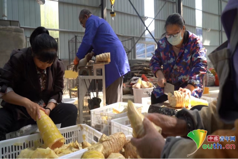 乐动体育 LD体育江西大余：牵手结对共促产业兴旺