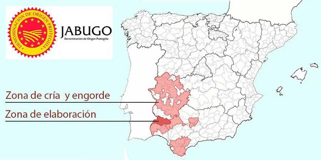 名家美酒乐动体育搭配伊比利亚火腿的西班牙风土之旅品鉴会(图8) 名家美酒乐动体育搭配伊比利亚火腿的西班牙风土之旅品鉴会(图8)