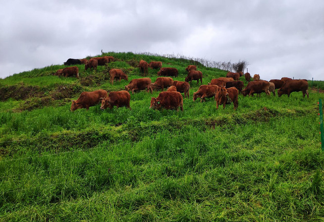 小山沟里涉农国企的大作为乐动体育