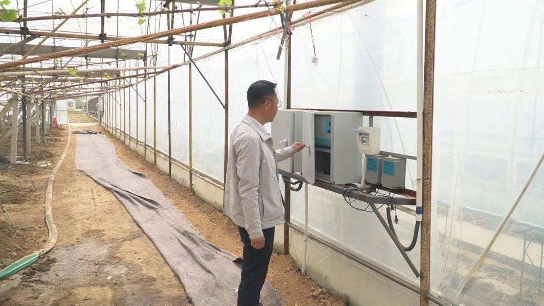 LD乐动体育“智慧农业”让种植更智能