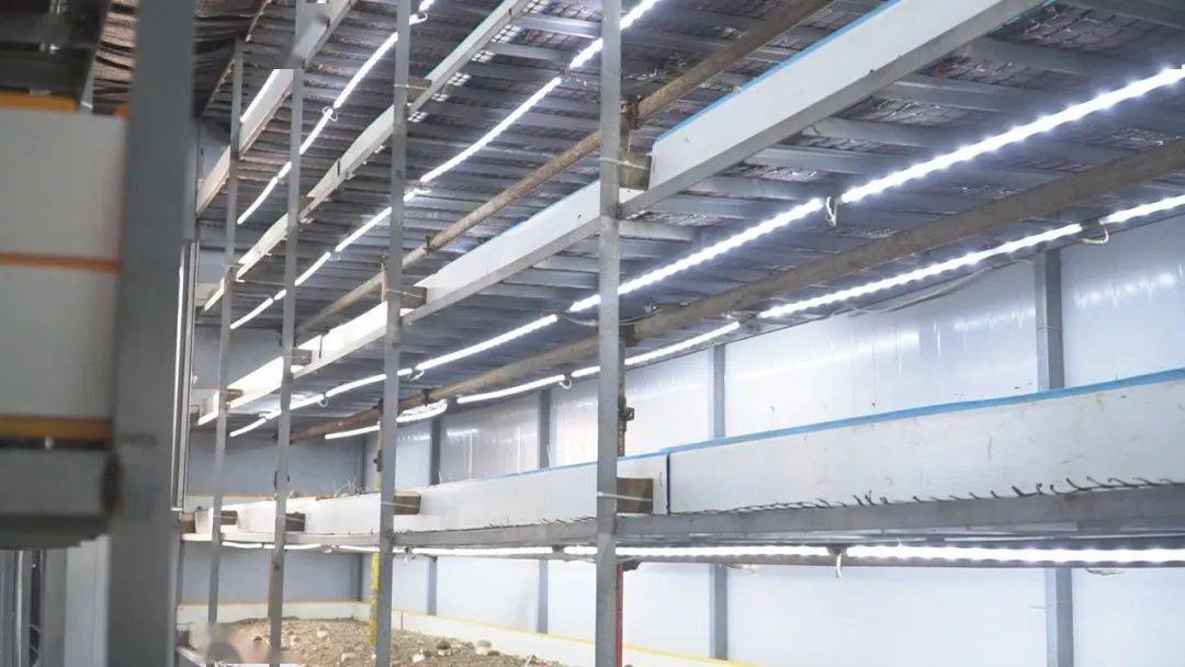 LD乐动体育“智慧农业”让种植更智能(图7) LD乐动体育“智慧农业”让种植更智能(图7)