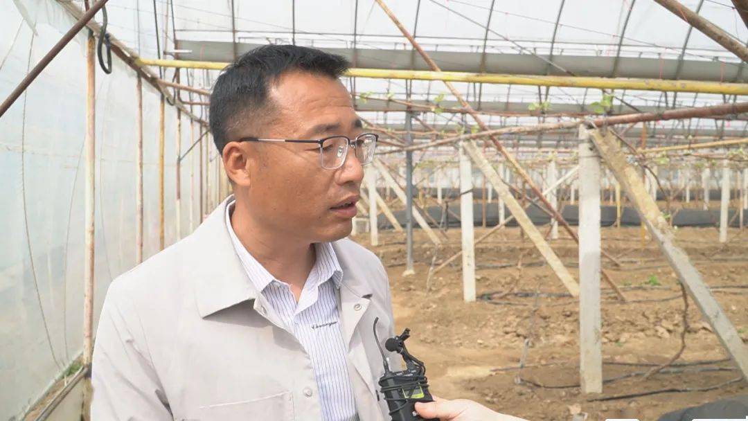 LD乐动体育“智慧农业”让种植更智能(图4) LD乐动体育“智慧农业”让种植更智能(图4)