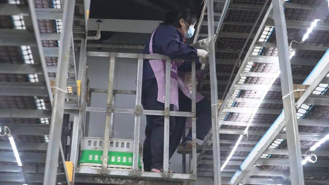 LD乐动体育“智慧农业”让种植更智能(图6) LD乐动体育“智慧农业”让种植更智能(图6)