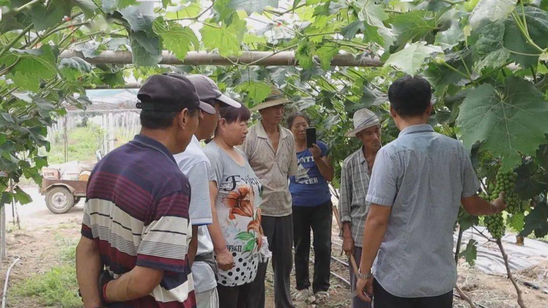 LD乐动体育“智慧农业”让种植更智能(图9) LD乐动体育“智慧农业”让种植更智能(图9)