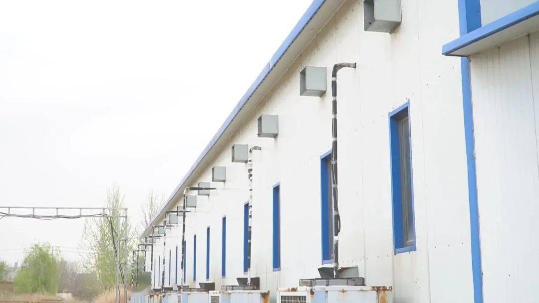 LD乐动体育“智慧农业”让种植更智能(图13) LD乐动体育“智慧农业”让种植更智能(图13)